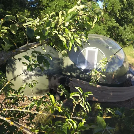 Bubble Tent Altmuehltal